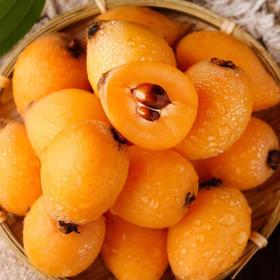 云霄枇杷 约500g /份