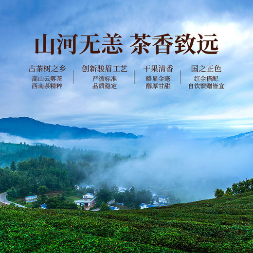 正山堂骏眉中国 红火普安红 特级正宗贵州大叶种红茶罐装送礼 商品图6