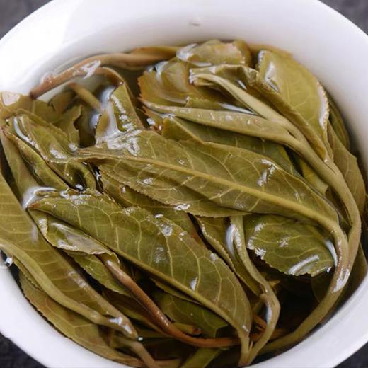 2025年头春嫡系昔归600古树陈道峰大师监制 商品图4