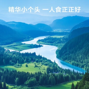 京东京造 有机小银耳250g/盒整朵易泡发出胶古田银耳莲子桂圆百合羹配料 /休闲食品 /蜜饯果干 /枣 商品图6