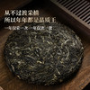 【瑶族秘境单株】易武茶区头春头采单株古茶，易武中枢古寨春独享高杆古茶性价比之巅357克/饼拍5发6拍20发25 商品缩略图1