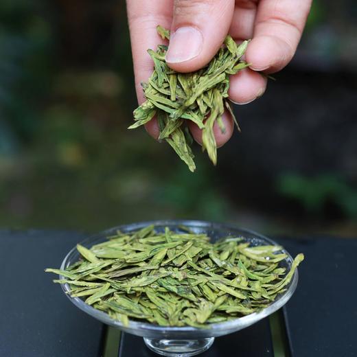 疯抢中！！免费试喝！【贵州富硒有机凤羽茶】有机+地理标志认证 新鲜回甘 100g铁罐/240g精美手提礼盒(赠3g试喝装) 商品图8