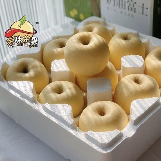 【奶油苹果】第⑨季  天生土豪金👏，果香脆甜多汁品质优秀  不打蜡 ⭕不施农药 ⭕自然生长⭕ 比红富士晚熟一个月，口感更佳 自带奶油香气，果肉绵密香脆 一口咬下去，还有淡淡的奶油香气。 商品图0