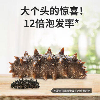 海晏堂 大连淡干海参 100g 28-36只 辽刺参 海参滋补干货礼盒送礼海鲜 /粮油调味 /南北干货 /干海参 商品图3