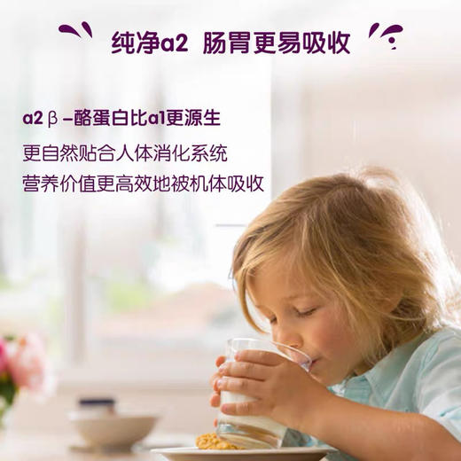 澳洲进口a2牛奶鲜牛奶低温全脂营养鲜奶儿童早餐奶*2瓶 商品图2