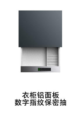 1-衣柜安防系统-5-铝面板数字指纹保密抽