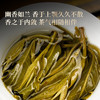 【瑶族秘境单株】易武茶区头春头采单株古茶，易武中枢古寨春独享高杆古茶性价比之巅357克/饼拍5发6拍20发25 商品缩略图6