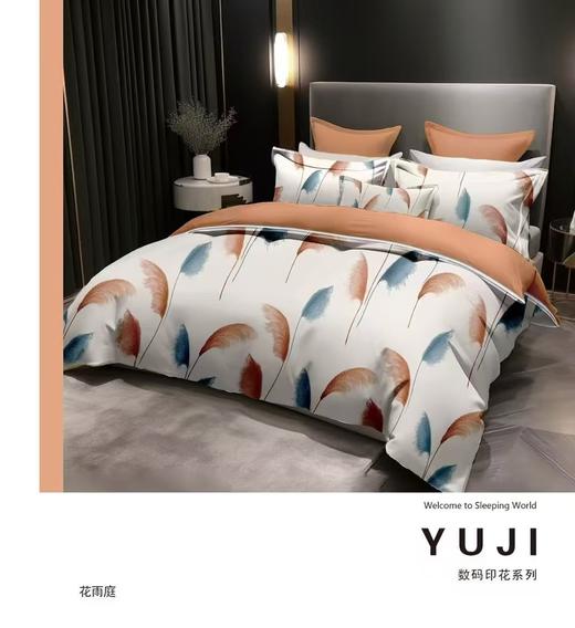 精选床单四件套 商品图3