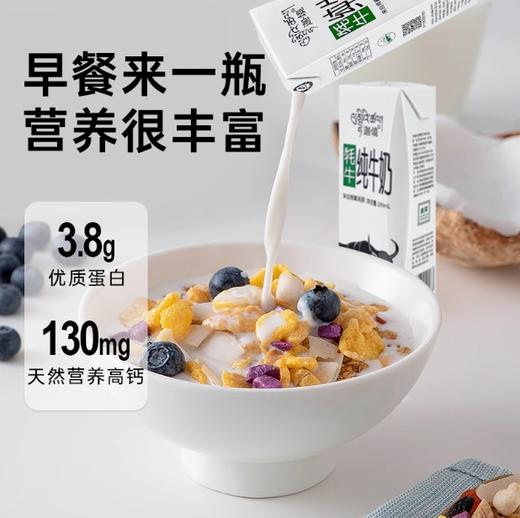 迦境牦牛纯牛奶200ml 商品图2