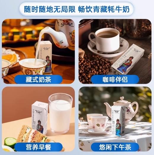 阿迪媞牦牛纯牛奶200ml 商品图3