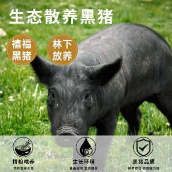 食光好忙黑猪油300g 罐装 古法熬制家用炒菜拌饭拌面起酥油 /粮油调味 /调味品 /火锅底料/蘸料 商品图0