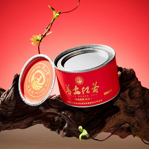 正山堂骏眉中国 红火普安红 特级正宗贵州大叶种红茶罐装送礼 商品图5