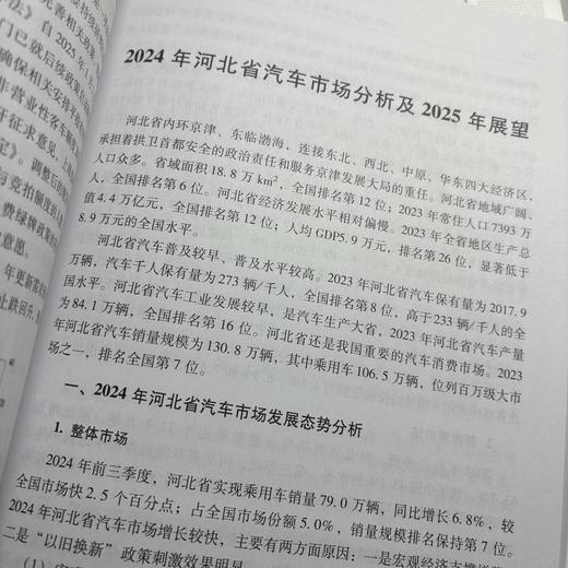 2025  中国汽车市场展望 商品图2