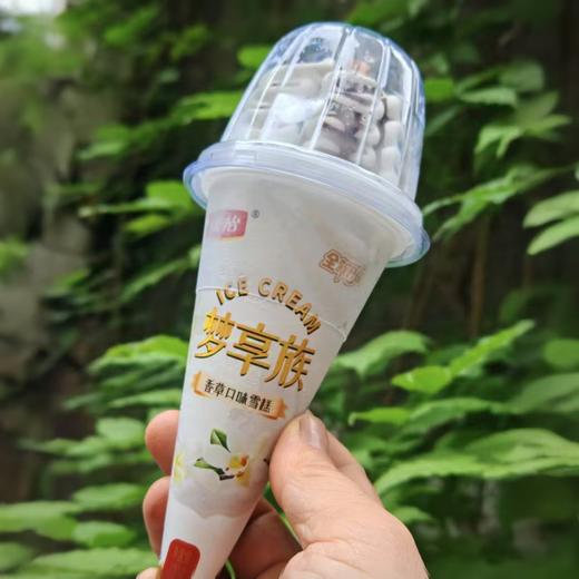 康怡梦享族(香草口味雪糕) 商品图0