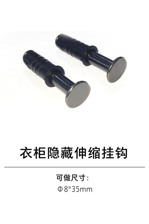 1-衣柜收纳五金-挂钩-3-隐藏伸缩挂钩 商品图0