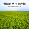 方家铺子中华老字号 阿胶八珍粥1斤/罐装 五红原料 五谷杂粮粥 粗粮 /粮油调味 /杂粮 /其他杂粮 商品缩略图2
