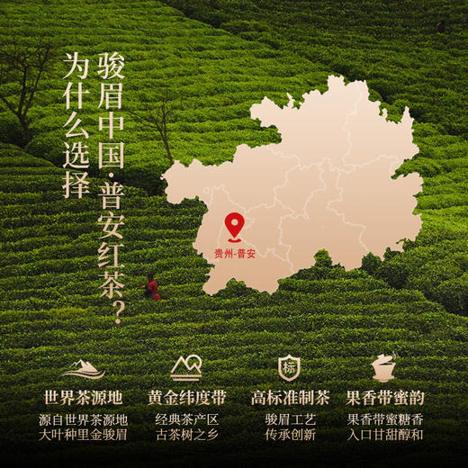 正山堂骏眉中国 祥和普安红 正宗贵州大叶种红茶叶罐装送礼 商品图2