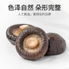 方家铺子中华老字号  随州香菇208g 厚干香菇蘑菇柄短 煲汤火锅食材 /粮油调味 /南北干货 /菌菇干货 商品缩略图2