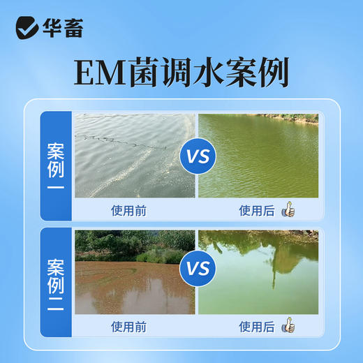 华畜 EM菌复合粉 12种菌复合 专利菌种 活性更强 商品图3