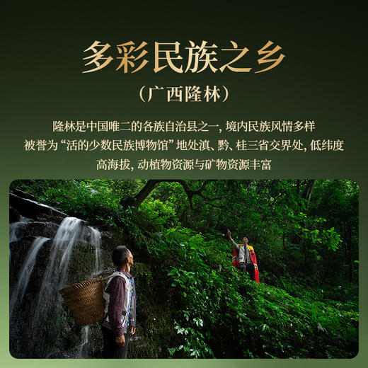 正山堂隆林红 天生野茶 特级红茶正宗骏眉中国广西野生茶叶罐装送礼 商品图3
