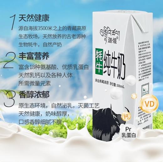迦境牦牛纯牛奶200ml 商品图0