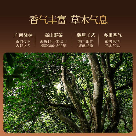 正山堂隆林红 彝山古茶 特级红茶正宗骏眉中国广西茶叶罐装送礼长辈 商品图3