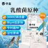 华畜 乳酸菌原种 可扩100斤菌液 1000亿高含量 降pH值更快 专利菌种 活性更高 商品缩略图0