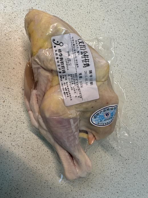 散养 文昌公仔仔鸡 童子鸡 75-95日龄不低于650克 表皮油脂丰富 商品图1