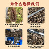 相遇红颜 羊肚菌头茬精品菌菇168g礼盒装年货山珍特产 火锅食材南北干货 /粮油调味 /南北干货 /菌菇干货 商品缩略图0
