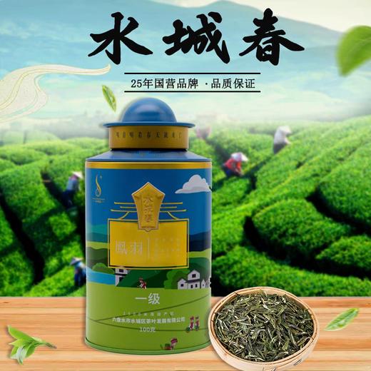 疯抢中！！免费试喝！【贵州富硒有机茶‌·凤羽】有机+地理标志认证 100g铁罐装/240g手提礼盒装(赠3g试喝装) 商品图1
