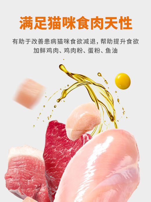 普安特泌尿处方粮猫咪泌尿道系统处方猫粮家成猫幼猫全价配方粮 商品图2