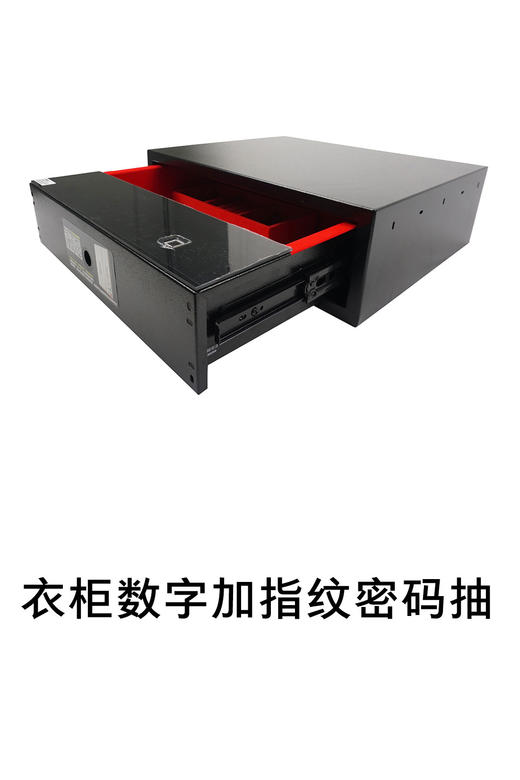 1-衣柜安防系统-3-数字加指纹密码抽 商品图0