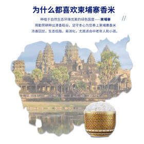 泰那兰柬埔寨猫牙米 原粮进口 一级大米20斤 长粒香米 /粮油调味 /米 /泰国香米