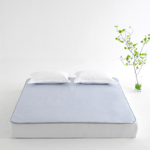 新品上市     冰丝席 商品图0