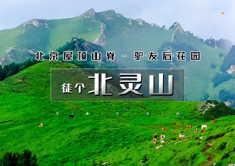 【北灵山】北京驴友后花园の北京小瑞士之北灵山10公里徒步<初级>