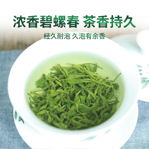 2026新茶上市明前春茶碧螺春绿茶258g*2袋4星 商品图5