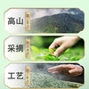 2026新茶上市明前春茶碧螺春绿茶258g*2袋4星 商品缩略图6