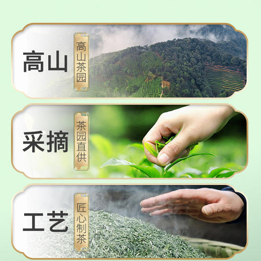 2026新茶上市明前春茶碧螺春绿茶258g*2袋4星 商品图6