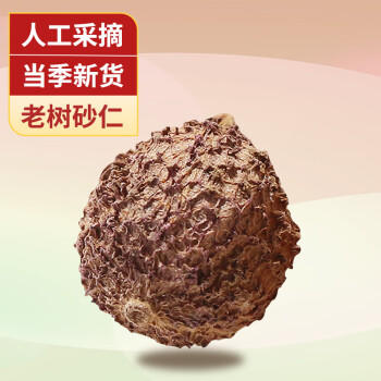 汇营 春砂仁50g 香辛料调料沙仁干果阳春砂炖肉煲汤蒸肉砂仁茶 /粮油调味 /调味品 /基础香辛料 商品图2