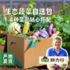 沃野青青生态蔬菜丰产自选包 4斤（1-4种）  | 合作农友生产，产自陕西咸阳，生产者：郑力行*【公平贸易农人定价】 商品缩略图0
