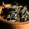 方守龙老茶仓 2005年春牡丹茶白茶山第1款白茶[官方旗舰正品直供] 商品缩略图2