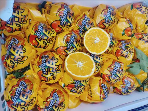 甘平蜜桔一箱（补单） 商品图1