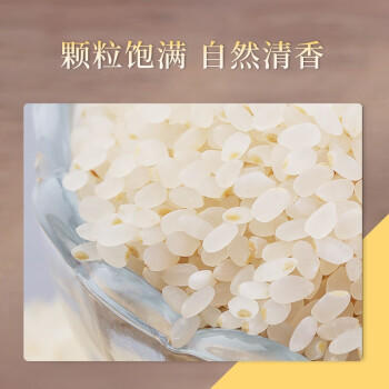 东北老农当季新米 胚芽米大米 5斤 粥米 2.5kg /粮油调味 /米 /胚芽米 商品图1