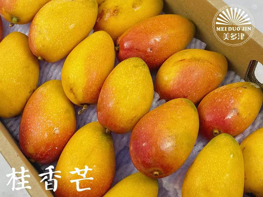 桂香芒·贵妃芒🥭 一箱4斤礼盒装 商品图2