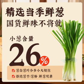 莲花葱油拌面酱230g瓶装拌饭下饭炸酱面正宗调味酱家用 /粮油调味 /调味品 /中式酱料