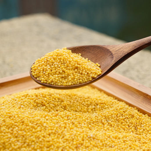 2025年新小米【陕北米脂小米】| 农家生态月子米，新鲜现碾现发，420g*5袋 商品图10