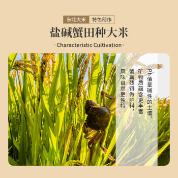 盘锦大米蟹田大米圆粒香米 东北大米5斤*3/15斤组合装 /粮油调味 /米 /珍珠米 商品图5