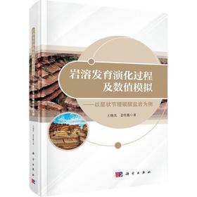 岩溶发育演化过程及数值模拟——以层状节理碳酸盐岩为例