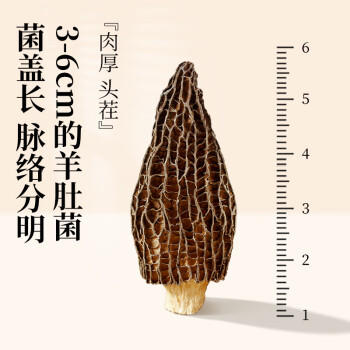 珍悉菌菇汤包385g7袋装  羊肚菌菌汤包山珍干货煲汤 炖鸡火锅食材 /粮油调味 /南北干货 /菌菇干货 商品图1