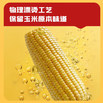 十月稻田 五常黄糯玉米 3.52斤(220g*8根) 东北玉米棒 早餐 杂粮礼盒 /粮油调味 /杂粮 /谷米类 商品图2